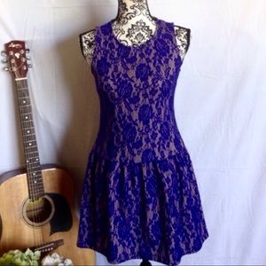Cobalt & Nude Lace Drop Waist Fit & Flare Dress